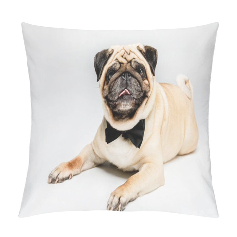 Personality  pug dog in bow tie pillow covers