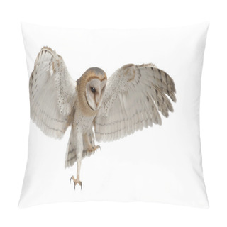 Personality  Barn Owl, Tyto Alba, 4 Months Old, Flying Against White Background Pillow Covers