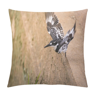 Personality  A Pied Kingfisher Takes To The Air With Its Striking Black And White Plumage On Full Display Near A Muddy African Waterfront. The Birds Wings Are Spread Wide, Showing Their Intricate Pattern As It Hovers Effortlessly Over The Natural Landscape, With  Pillow Covers