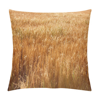 Personality  Wheat Pillow Covers