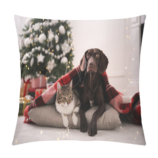 Personality  Cute Cat And Dog Covered With Plaid In Room Decorated For Christmas Pillow Covers