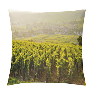 Personality  Vineyards Near Fuisse, Burgundy, France Pillow Covers