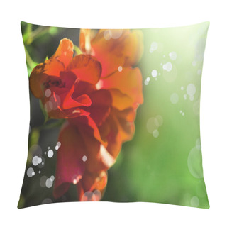 Personality  Red Pink Flowers Pillow Covers