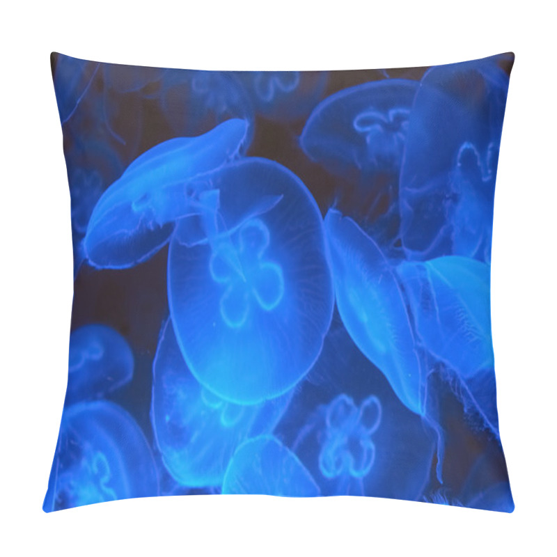 Personality  Blue jellyfish in water  pillow covers