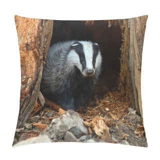 Personality  Badgers In Their Natural Habitat Pillow Covers