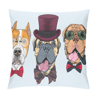 Personality  Vector Set Of Dogs In Hat And Bow Tie, American Staffordshire Terrier, Bullmastiff, French Mastiff Or Dogue De Bordeaux Pillow Covers