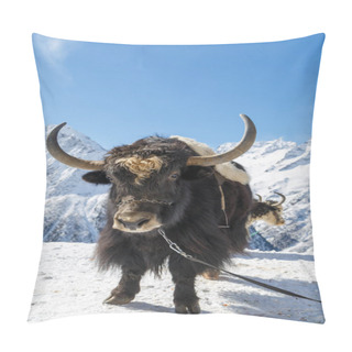 Personality  Big Shaggy Black Yak Is Standing On The Snow Against The White Mountains On A Sunny Day Pillow Covers