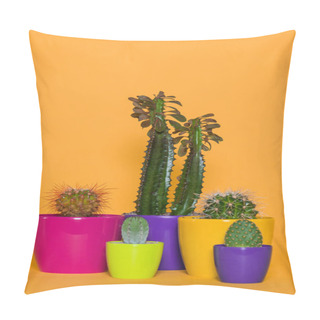 Personality  Beautiful Green Cactuses In Colorful Pots Isolated On Yellow  Pillow Covers
