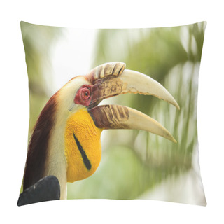 Personality  Yellow Billed Hornbills Pillow Covers