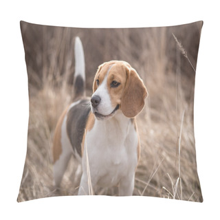 Personality  Beagle Dog In Nature Pillow Covers