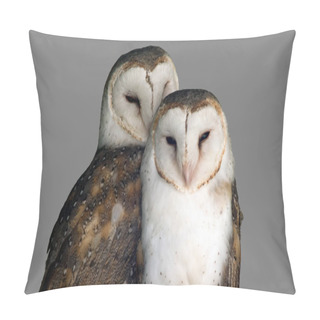 Personality  The Barn Owl Has A White Face And Chest And Is Brown In The Back Pillow Covers