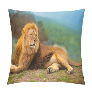 Personality  Lion Male Having A Rest Lying On The Mountain Pillow Covers
