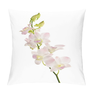 Personality  Orchid Flowers Branch Pillow Covers