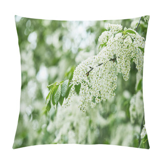 Personality  Close-up Shot Of Beautiful Bird-cherry Blossom Pillow Covers
