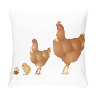 Personality  Life Of Hen Pillow Covers