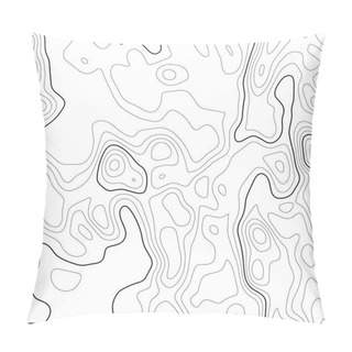 Personality  Topographic Map Background. Grid Map. Contour. Vector Illustration. Pillow Covers