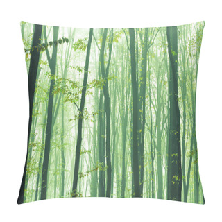 Personality  Foggy, Sunny Morning In Summer Forest. Fantasy Forest. Pillow Covers