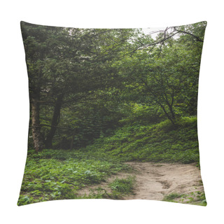 Personality  Rural Pathway In Beautiful Green Forest On Hill Pillow Covers