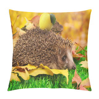 Personality  Hedgehog With Apple On Back On Forest Background Pillow Covers