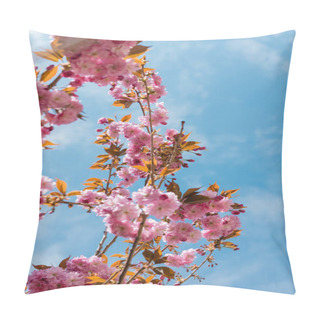 Personality  Bottom View Of Blooming And Japanese Cherry Tree Against Blue Sky Pillow Covers