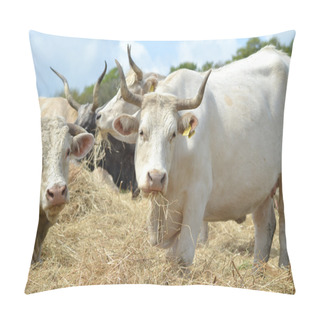 Personality  Cow And Bull Pillow Covers