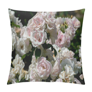 Personality  Beautiful Close Up Of Several White Rose Flower Heads Of The Ger Pillow Covers