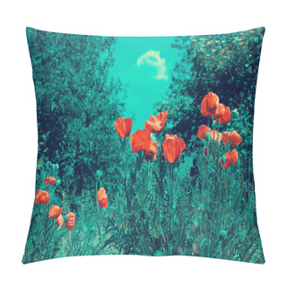 Personality  Vintage Poppies Field Pillow Covers
