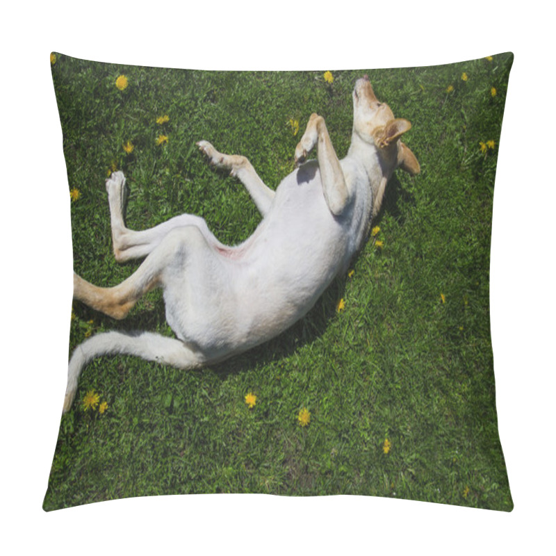Personality  Rolling Puppy Pillow Covers