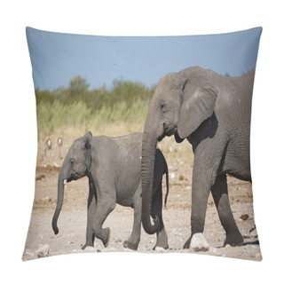 Personality  Elephants Roaming Around In Namibia Pillow Covers