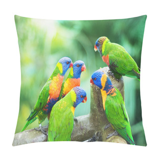 Personality  Rainbow Lorikeets Pillow Covers