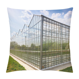 Personality  Greenhouse Vegetable Production Pillow Covers