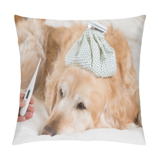 Personality  Golden Retriever Dog Cold Pillow Covers
