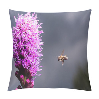 Personality  Bees Collect Honey From The Purple Liatris Spicata Flower. Macro Pillow Covers