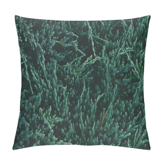 Personality  Full Frame Shot Of Green Fir Branches For Background Pillow Covers