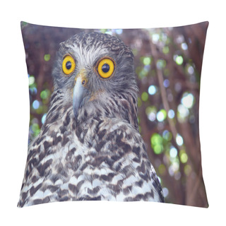 Personality  Powerful Owl Pillow Covers