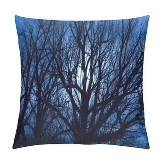 Personality  Scary Moonlit Night Pillow Covers