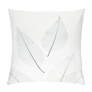 Personality  Transparent Dried Leaves On White Background Pillow Covers