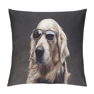 Personality  Cool And Fashionable Dog Golden Retriever Breeds In Dark Background Pillow Covers