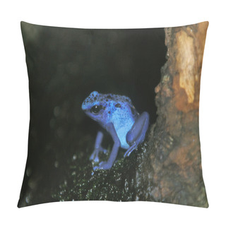 Personality  Blue Poison Frog, Dendrobates Azureus, Adult   Pillow Covers