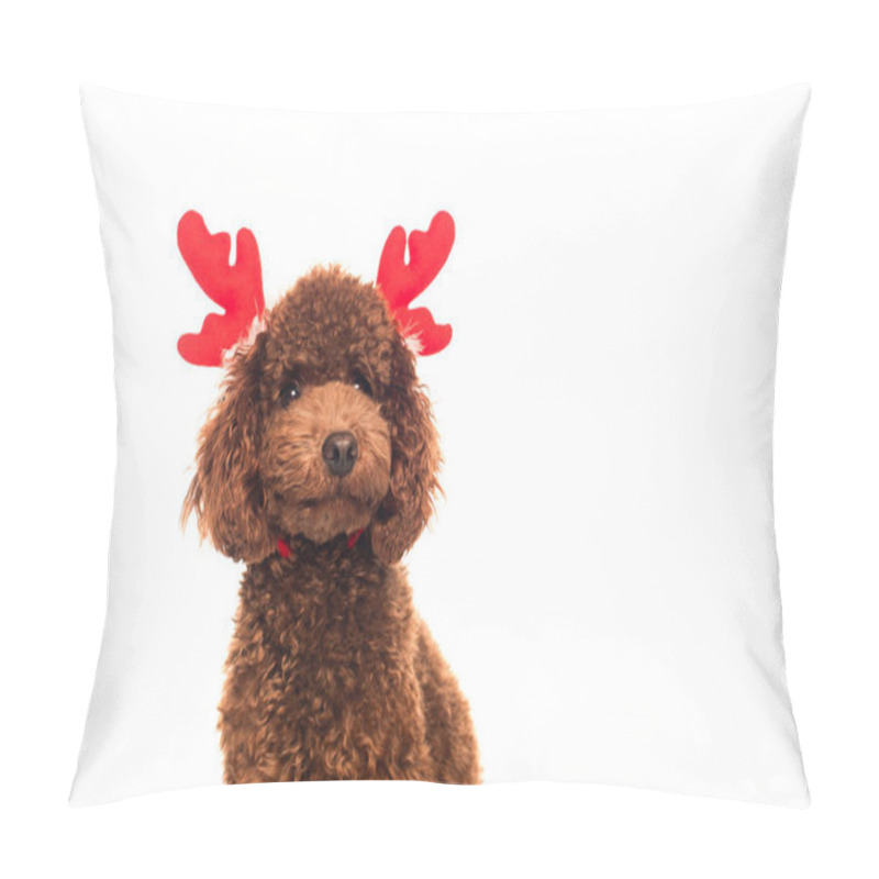 Personality  Brown Poodle In Reindeer Antlers Headband Isolated On White Pillow Covers