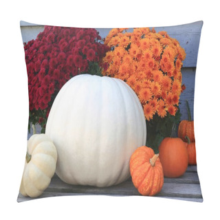 Personality  Thanksgiving, Fall (Autumn), Harvest Symbols Pillow Covers