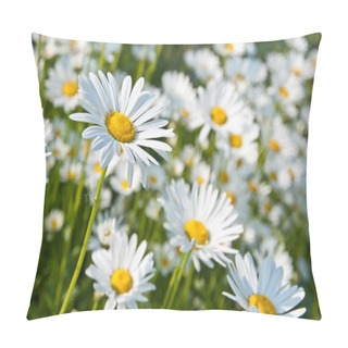 Personality  Marguerites In A Marguerite Sea Pillow Covers