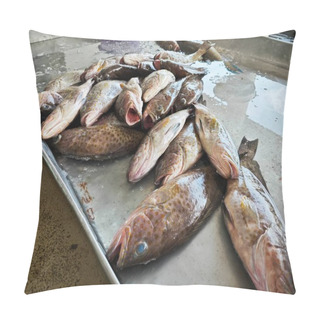 Personality  Lots Of Epinephelus Marginatus Fishes On The Ice Tray. Pillow Covers