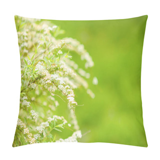 Personality  Closeup On Bush Outdoors In The City Park. Pillow Covers