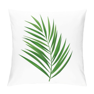 Personality  Palm Branch Isolated On White Background Pillow Covers