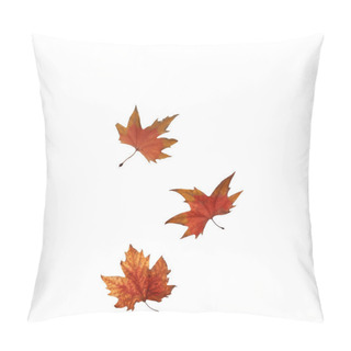 Personality  Collage Autumn Maple Leaves Isolated On White Background Pillow Covers