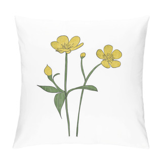 Personality  Hand Drawn Buttercup Flower, Vector Pillow Covers