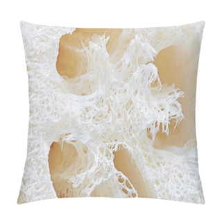 Personality  Loofah Texture. Pillow Covers