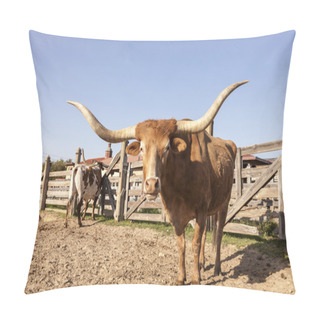 Personality  Longhorn Steer In Texas Pillow Covers