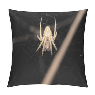 Personality  A Detailed Close-up Of A Neoscona Mukherjee Spider Poised On Its Intricate Web. Pillow Covers